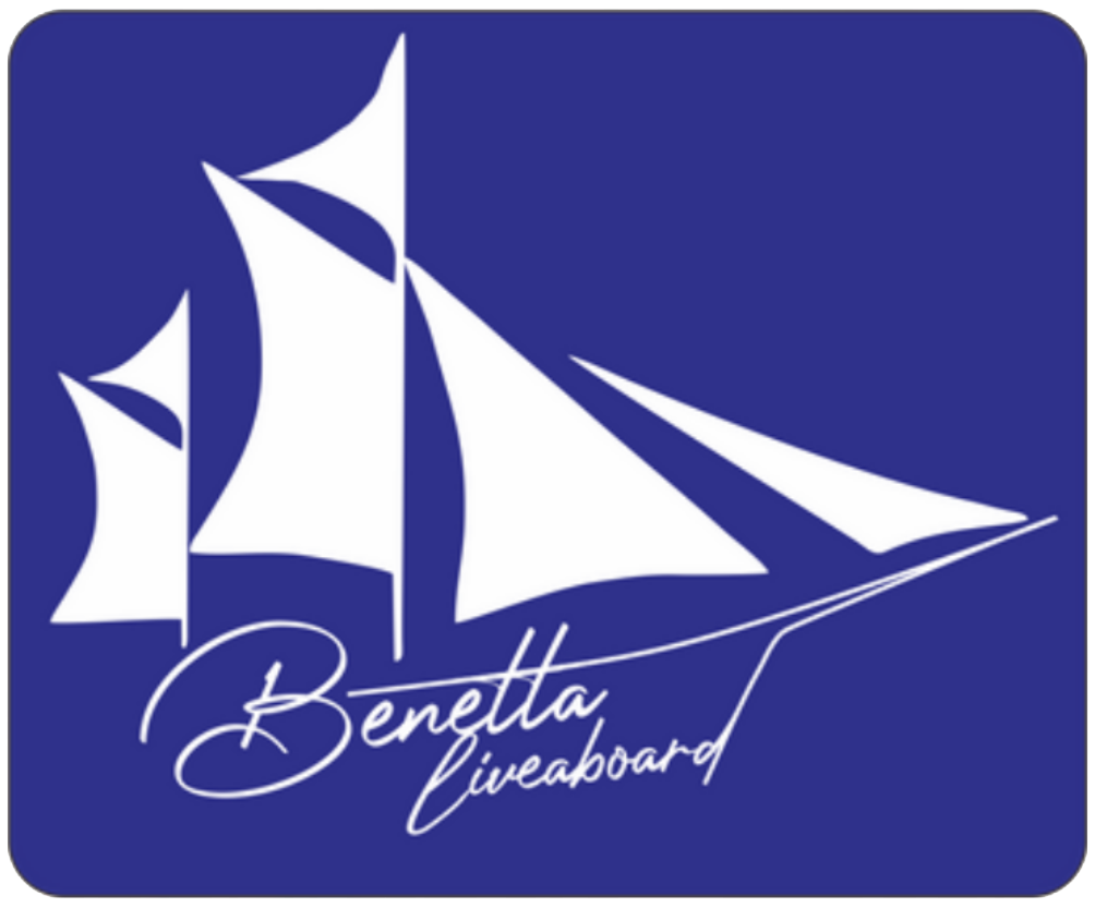 BenettaLogo BenettaLogo