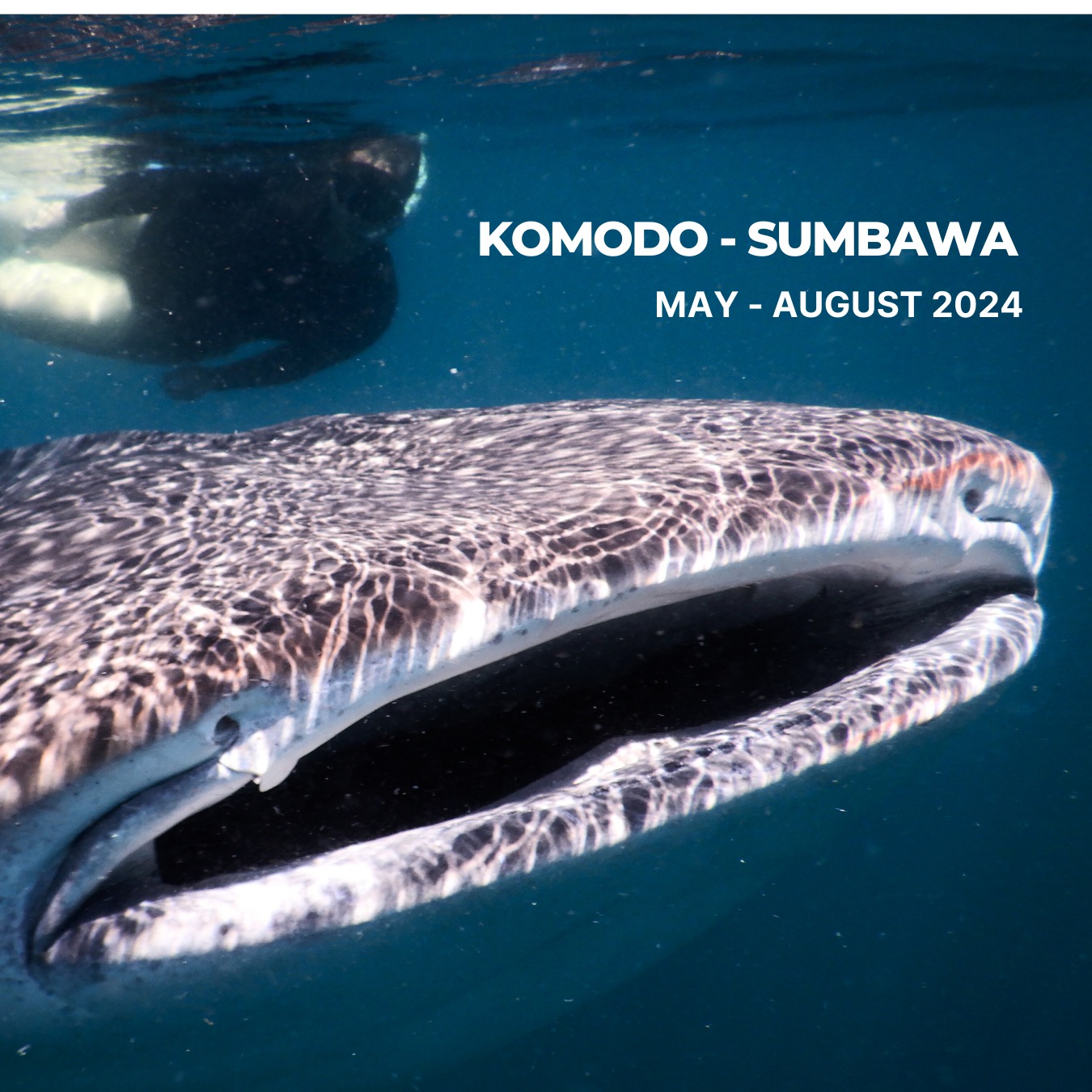 WhatsApp Image 2024-01-04 at 21.28.16 (1)