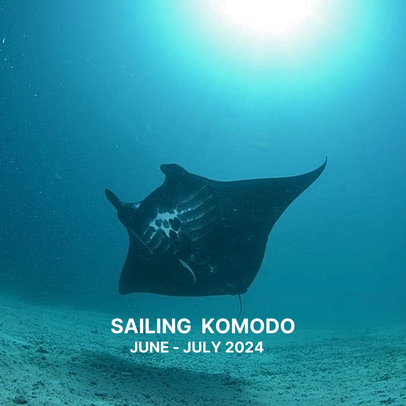 WhatsApp Image 2024-01-04 at 21.28.16 (2)