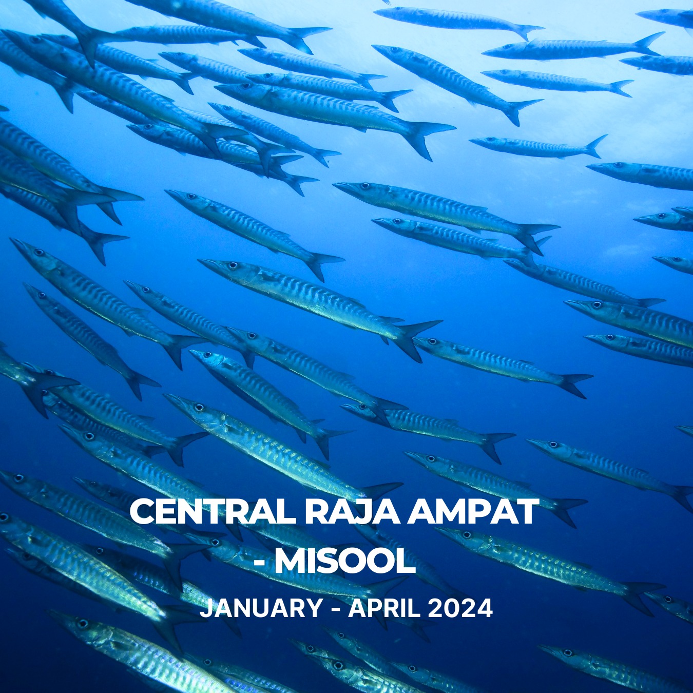 WhatsApp Image 2024-01-04 at 21.28.16